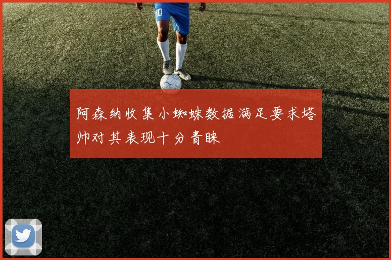 阿森纳收集小蜘蛛数据满足要求塔帅对其表现十分青睐