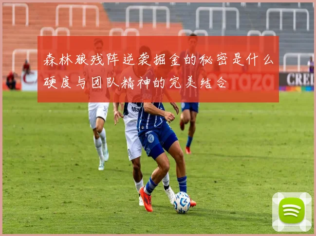 森林狼残阵逆袭掘金的秘密是什么硬度与团队精神的完美结合